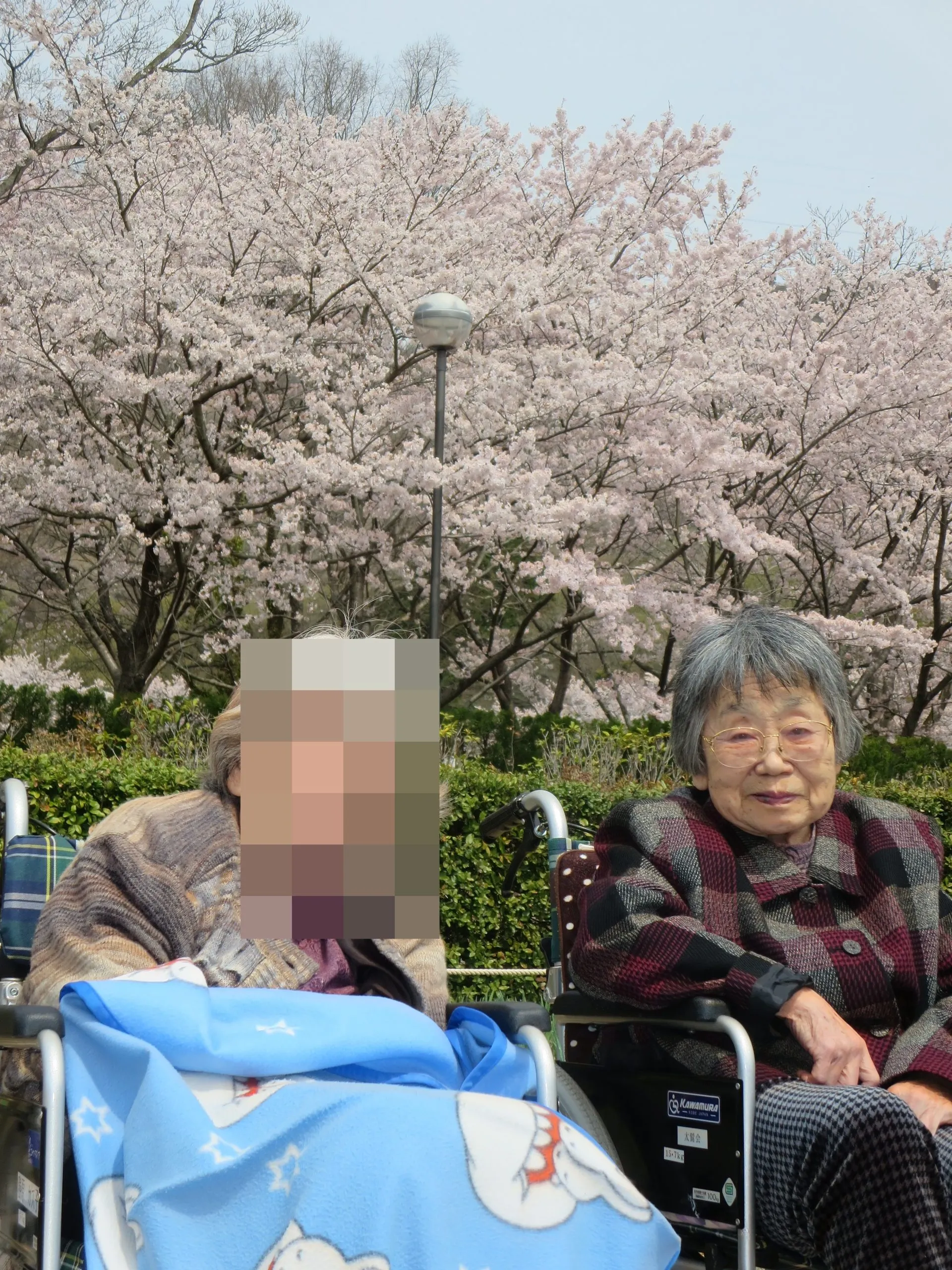 お花見外出(^^)/