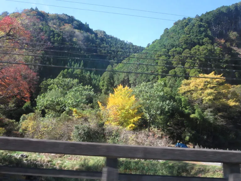デイサービスのお出かけ♡